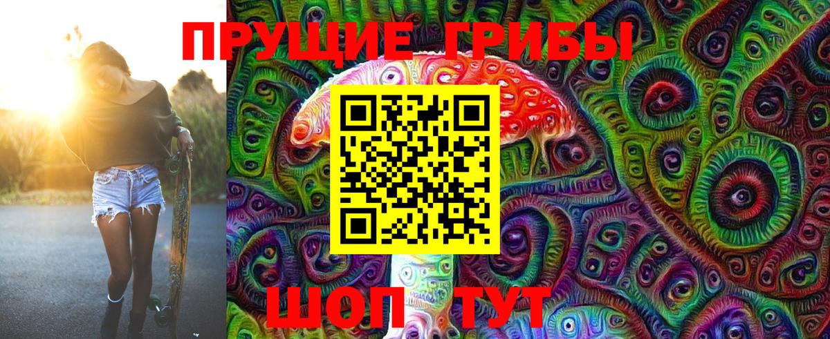 наркотики  Вход с VPN  Якутск  Псилоцибиновые грибы Psilocybe 